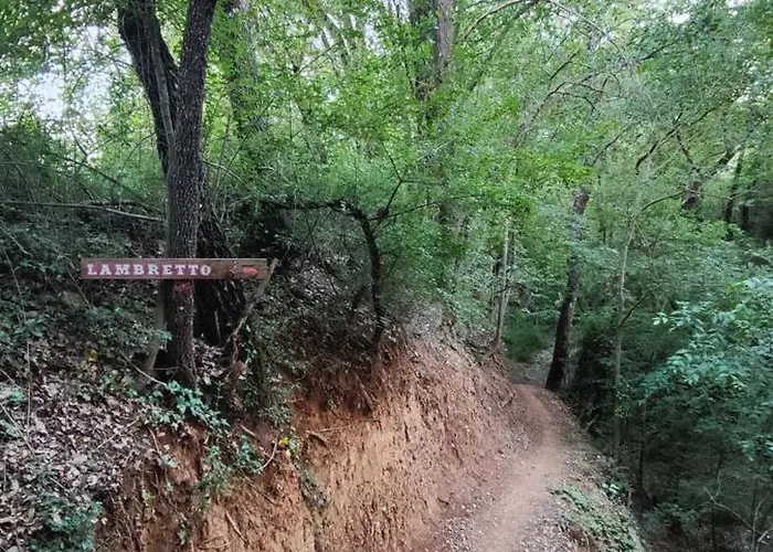 Διαμέρισμα Ca L'esmolet Tremp
