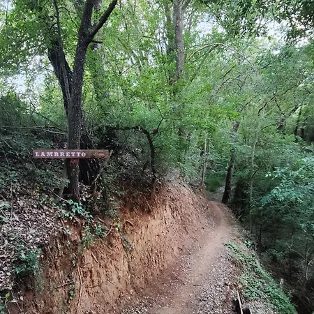 דירה Ca L'esmolet טרמפ